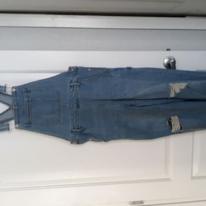 Distressed Wild Fable overalls